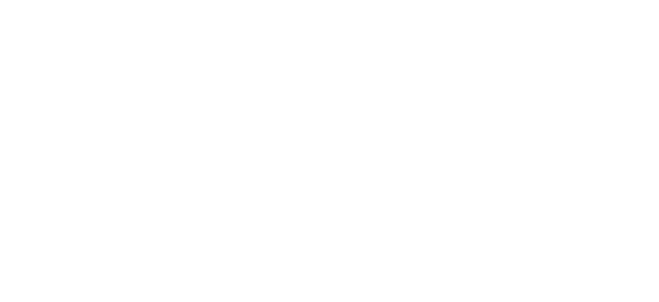MEDICAL ARTISTRY MASTER CLASS